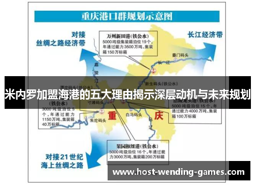 米内罗加盟海港的五大理由揭示深层动机与未来规划