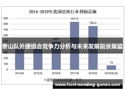 泰山队外援组合竞争力分析与未来发展前景展望