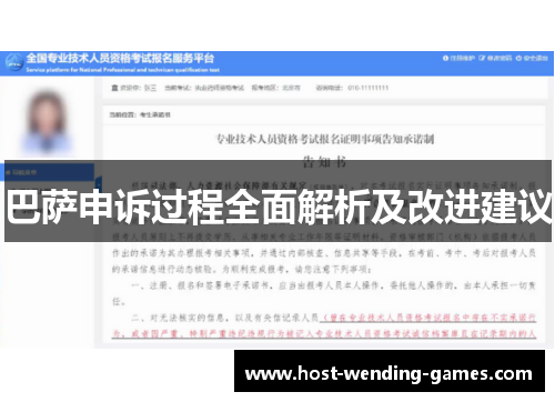 巴萨申诉过程全面解析及改进建议