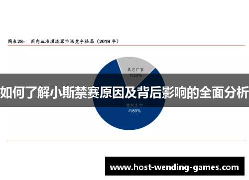 如何了解小斯禁赛原因及背后影响的全面分析
