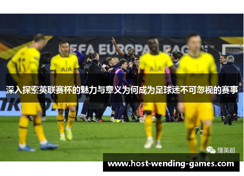 深入探索英联赛杯的魅力与意义为何成为足球迷不可忽视的赛事