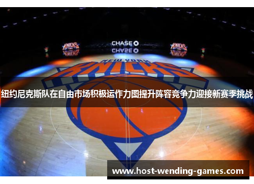 纽约尼克斯队在自由市场积极运作力图提升阵容竞争力迎接新赛季挑战