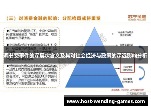 调节费事件的深层次含义及其对社会经济与政策的深远影响分析